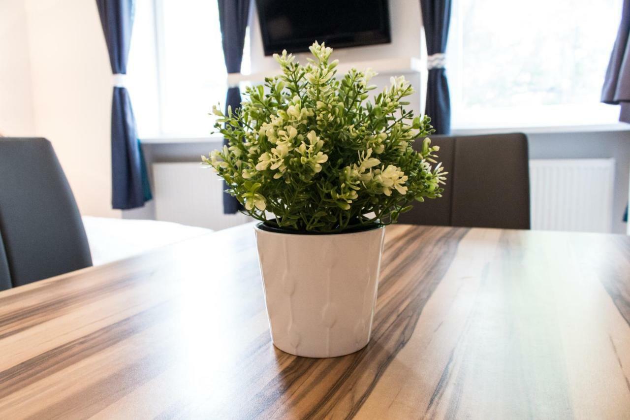 Apartment Enenkelstrasse 비엔나 외부 사진